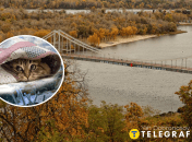 Погода в Украине