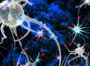 Какие научные открытия станут наиболее важными в ближайшие 50 лет?