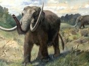 В США дети случайно нашли челюсть огромного мастодонта