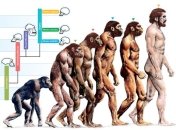 К 2050-му году человечество перейдет на новую ступень эволюции