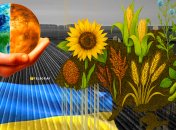 На полях чаще встречаются бобовые, лен, гречиха и конопля. Фото Коллаж "Телеграфа"