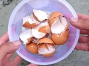 Полезная подкормка для растений из яичной скорлупы