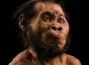 Ученые: Древние родственники человека жили рядом с современным человеком