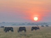 Самые большие и красивые заповедники мира (ФОТО)