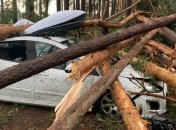 На Росію обрушився смертельний ураган: знищені будинки, постраждалих відвозять на вертольотах (відео)