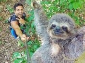 Ученые заявили, что селфи с дикими животными вызывает у них стресс