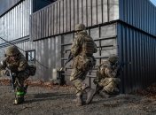 Украинские воины