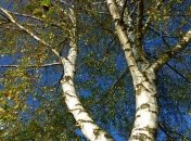 Какой праздник 11 апреля: народные приметы и запреты