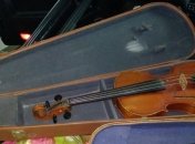 Украинка на Закарпатье пыталась вывезти за границу старинные скрипки
