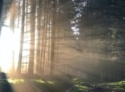 Тепло и солнечно: Чем порадует погода сегодня, 10 мая