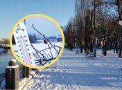 Погода в Харькове