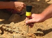 Под Одессой ученые раскопали древнейший артефакт