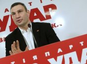 УДАР требует уголовные дела за фальсификации в Донецкой области 