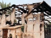 Птенцы дорогостоящих соколов погибли из-за удара молнии в Абу-Даби