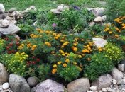 Законопроектом отменена плата за регистрацию земельных участков.