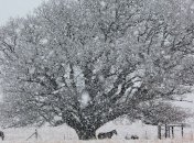 Снежная буря обрушилась на южные районы Финляндии