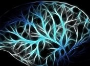 Улучшит жизнь пациентов с параличом: ученые испытали новый мозговой имплант