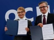 Тарута заявил, что поддержит кандидатуру Тимошенко на президентских выборах