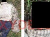 Под Одессой за два дня нашли два тела: детали жутких находок