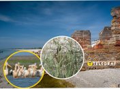 Острів Джарилгач в Херсонській області