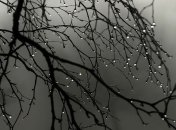 Прогноз погоды на 14 марта: суббота будет пасмурной и дождливой