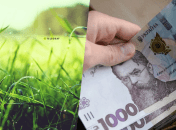 Заработок на траве