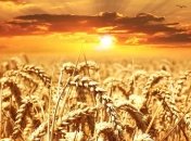 В Украине установилась жара: повысился уровень пожарной опасности