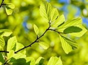 16 червня: яке сьогодні свято та що не можна робити в цей день