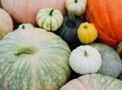 Яркие плоды тыквы очень вкусные