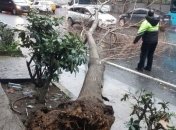 Ураган в Стамбуле сорвал крыши и повалил деревья: туристов предупредили об угрозе (Фото, Видео)