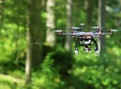 Беспилотники умеют распознавать тропинки, чтобы находить заблудившихся в лесу