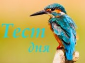 Гадание по картинке