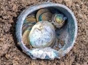 Археологи нашли в Кесарии древние золотые монеты