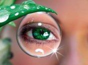 Витамины для хорошего зрения