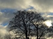 Снег не покидает Украину: синоптики рассказали в каких областях ухудшится погода