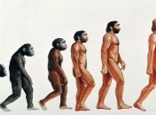 Ученые доказали, что люди до сих пор подвергнуты эволюции