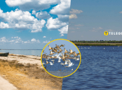 Тузловские лиманы в Одесской области