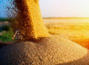 Болгария высказала позицию насчет запрета на ввоз украинского зерна