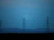 Электроэнергия из РФ: в Минэнерго против возобновления импорта