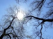 Завтра в Украине будет весеннее тепло