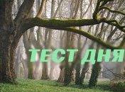 Узнайте о себе что-то новое: каково Ваше положение в обществе