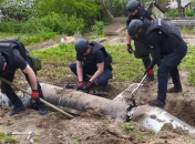 Ракета Х-55 упала на огород жителя Киева