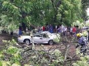 Поваленные деревья и затопленные дома: по Закарпатью пронесся ураган