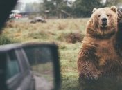 Бесподобные снимки природы с путешествий американского художника (Фото)