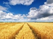 Спека посилиться, але не всюди: яку погоду очікувати в Україні наступного тижня