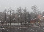 Прогноз погоды на 24 января: дождь, снег и мороз до -12