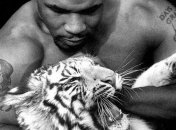 Тайсон згадав тигрицю, яка жила у нього 16 років і роздерла руку (Відео)