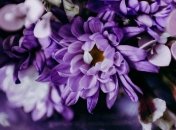 Лучшие поздравления с 46 годовщиной свадьба 26 июня в прозе