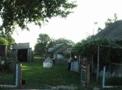 В Ровенской области пьяный тракторист насмерть переехал свою мать