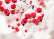 Морозы возвращаются: синоптики озвучили прогноз погоды на 12 февраля в Украине